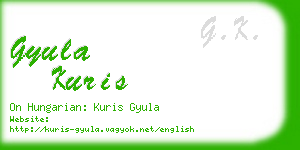 gyula kuris business card